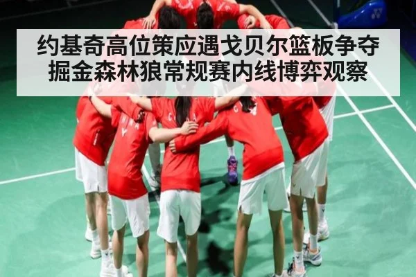 约基奇高位策应遇戈贝尔篮板争夺掘金森林狼常规赛内线博弈观察